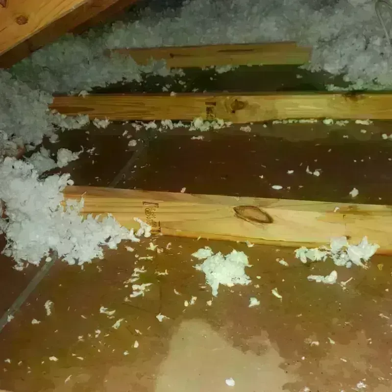 Attic Water Damage in Fairhope, PA